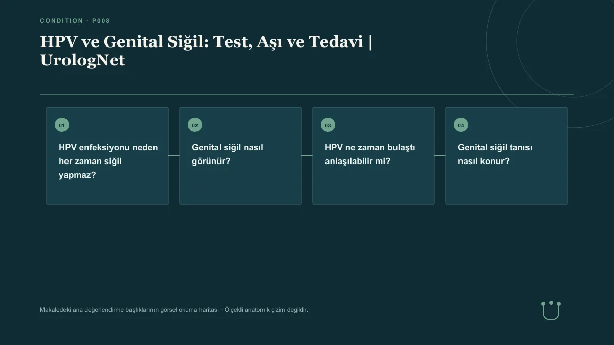 HPV ve Genital Siğil: Test, Aşı ve Tedavi | UrologNet için makalenin ana değerlendirme başlıklarını gösteren görsel okuma haritası.