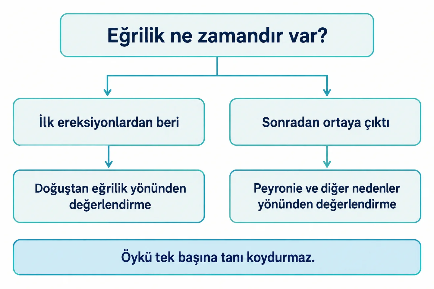 Eğriliğin başlangıç öyküsüne göre doğuştan ve sonradan gelişen değişikliklerin değerlendirilmesini gösteren şema.