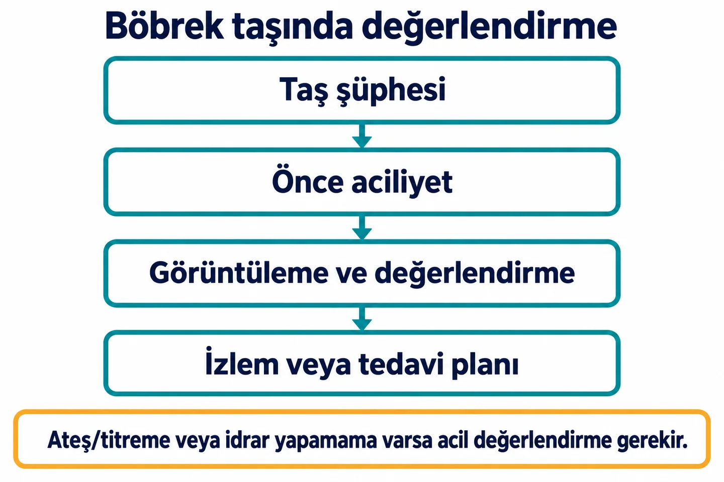 Taş şüphesinde önce aciliyet değerlendirilir; görüntüleme ve klinik değerlendirmeden sonra izlem veya tedavi planı yapılır. Ateş, titreme veya idrar yapamama acil değerlendirme gerektirir.