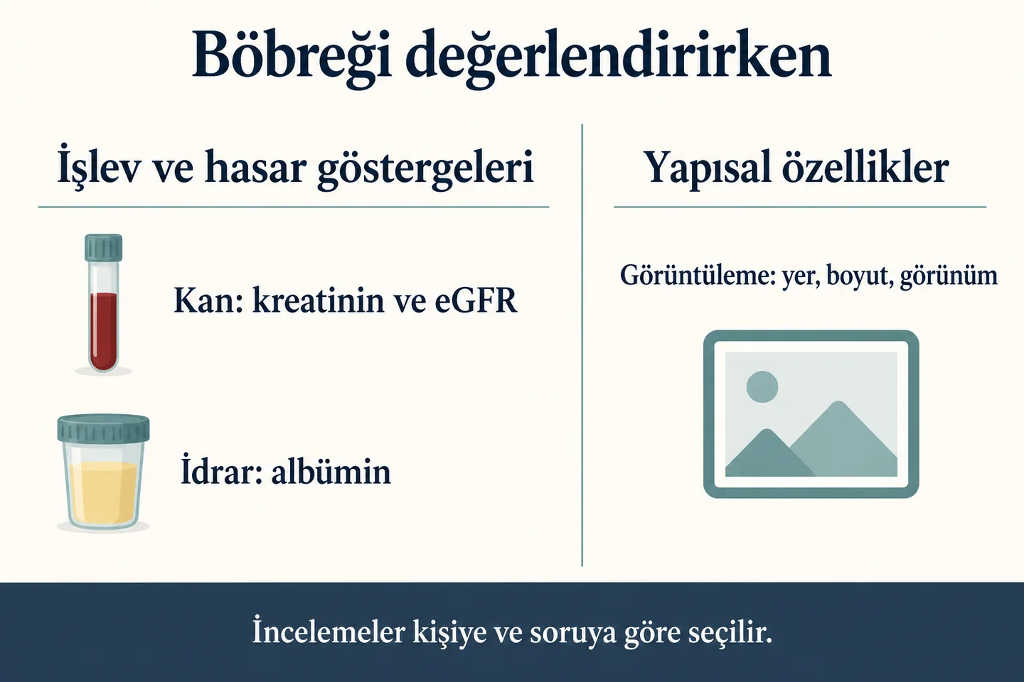 Kreatinin ve eGFR, idrarda albümin ve yapısal görüntüleme bilgileri.