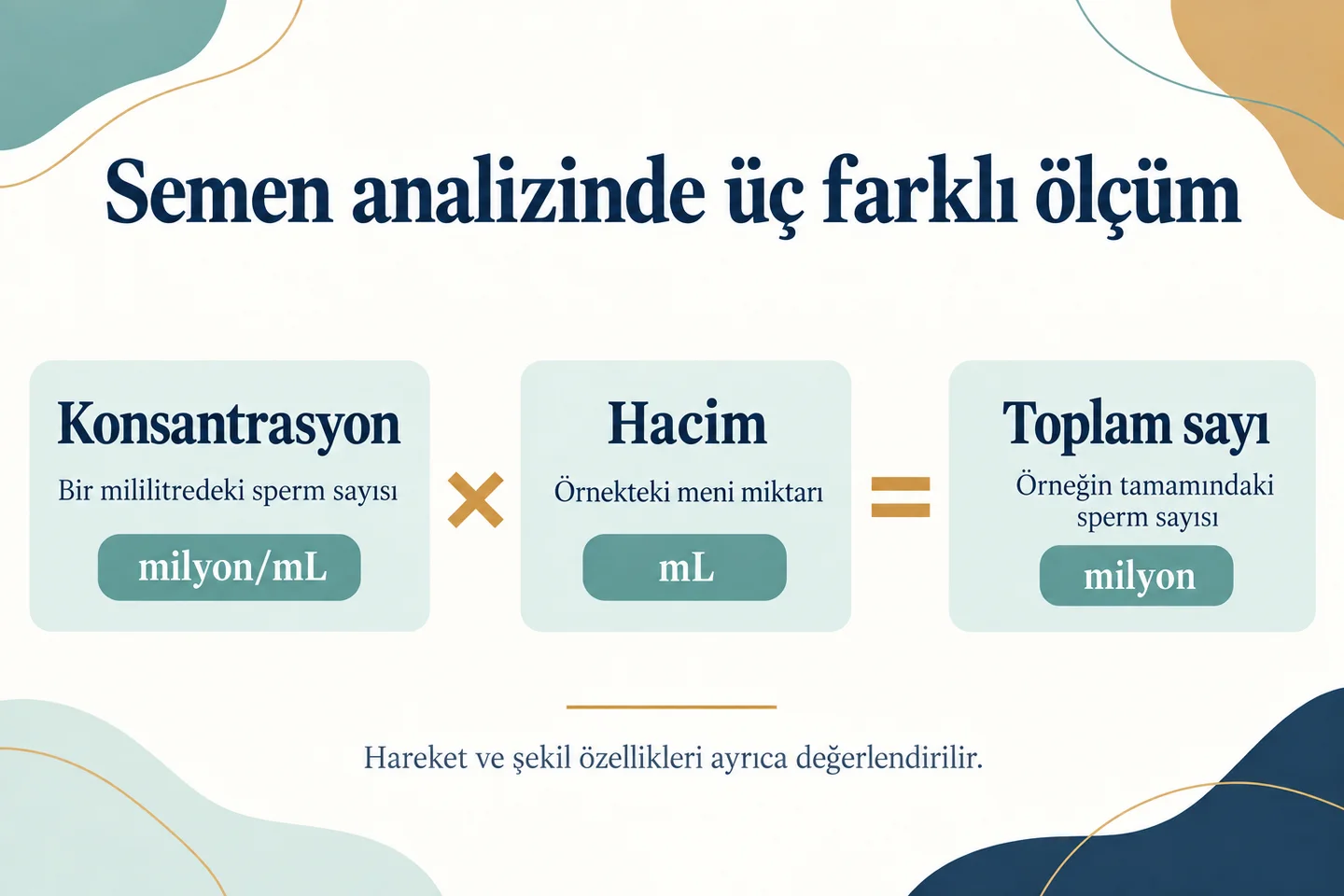 Konsantrasyon çarpı meni hacmi eşittir toplam sperm sayısı.