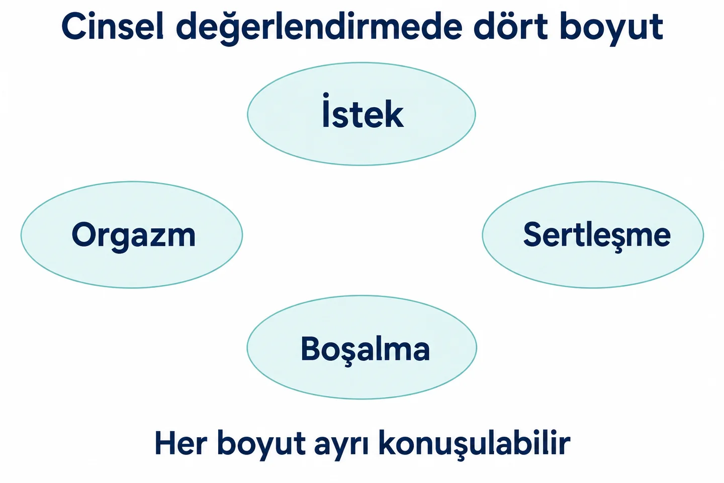 Cinsel değerlendirmede istek, sertleşme, boşalma ve orgazm ayrı boyutlar olarak ele alınır.