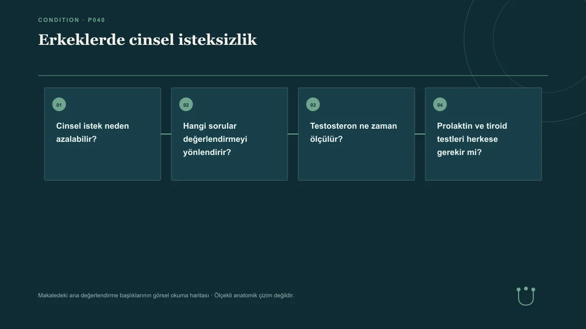Erkeklerde cinsel isteksizlik için makalenin ana değerlendirme başlıklarını gösteren görsel okuma haritası.
