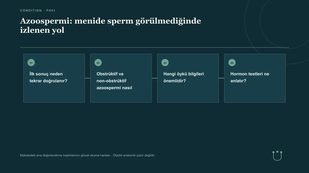 Azoospermi: menide sperm görülmediğinde izlenen yol için makalenin ana değerlendirme başlıklarını gösteren görsel okuma haritası.