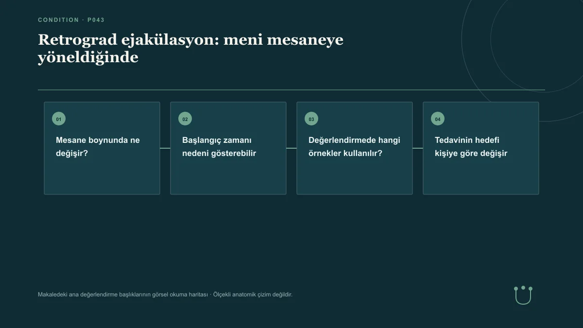 Retrograd ejakülasyon: meni mesaneye yöneldiğinde için makalenin ana değerlendirme başlıklarını gösteren görsel okuma haritası.