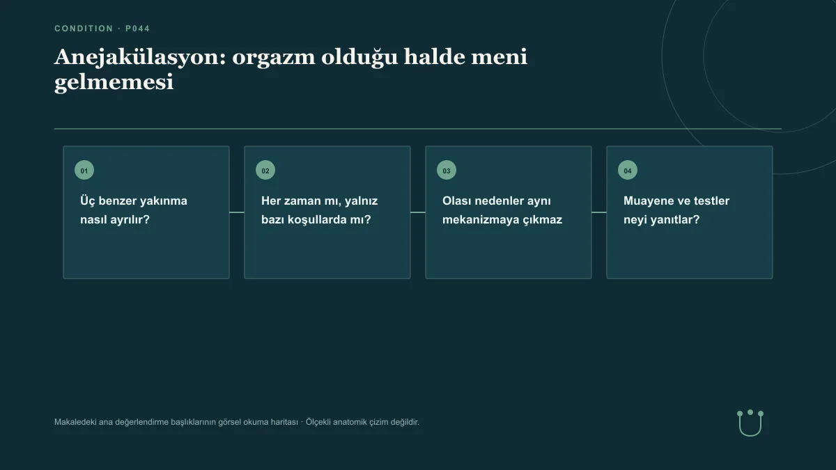 Anejakülasyon: orgazm olduğu halde meni gelmemesi için makalenin ana değerlendirme başlıklarını gösteren görsel okuma haritası.