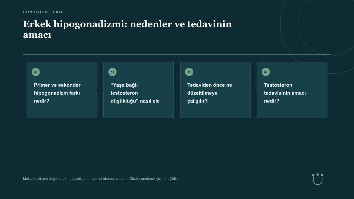 Erkek hipogonadizmi: nedenler ve tedavinin amacı için makalenin ana değerlendirme başlıklarını gösteren görsel okuma haritası.