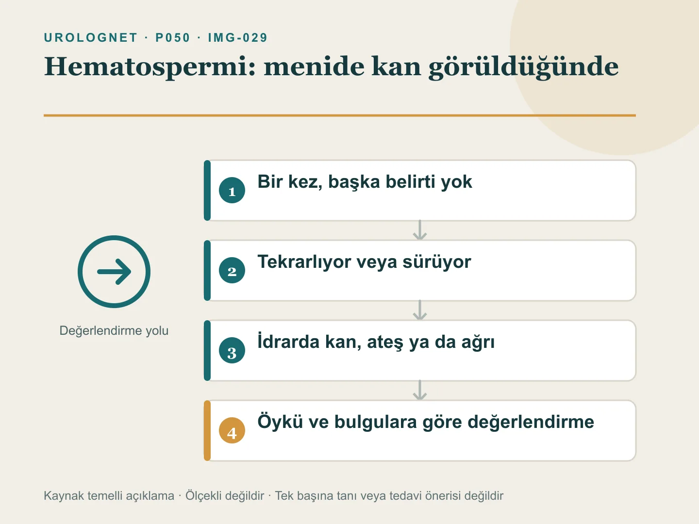 Menide kanın bir kez görülmesi, tekrarlaması ve idrarda kan, ateş veya ağrı gibi eşlik eden bulgulara göre değerlendirme yolunu gösteren şema.