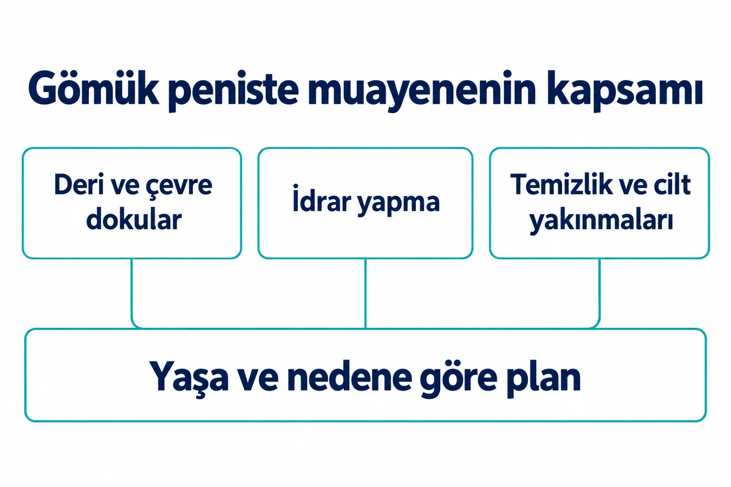 Gömük peniste deri yapısı, işeme ve temizlik yakınmalarının yaşa ve nedene göre değerlendirilmesi.