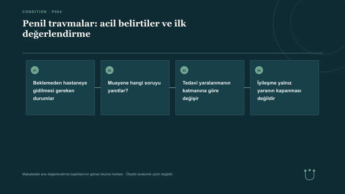 Penil travmalar: acil belirtiler ve ilk değerlendirme için makalenin ana değerlendirme başlıklarını gösteren görsel okuma haritası.