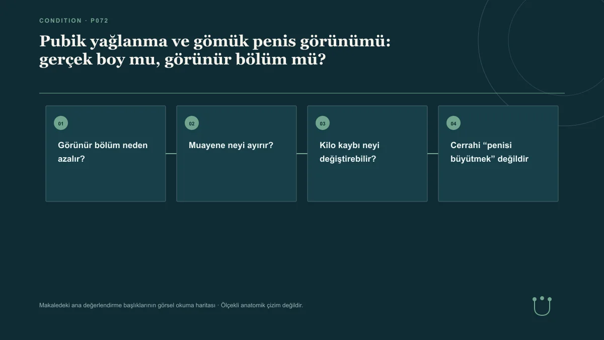 Pubik yağlanma ve gömük penis görünümü: gerçek boy mu, görünür bölüm mü? için makalenin ana değerlendirme başlıklarını gösteren görsel okuma haritası.
