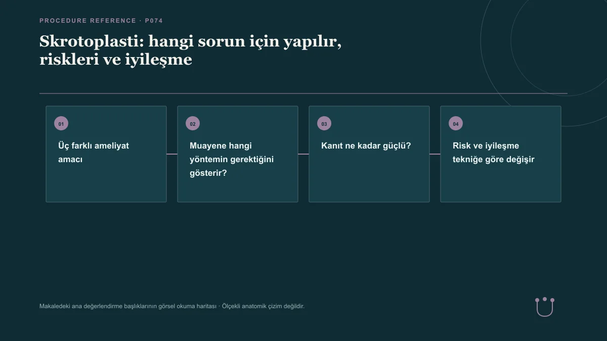 Skrotoplasti: hangi sorun için yapılır, riskleri ve iyileşme için makalenin ana değerlendirme başlıklarını gösteren görsel okuma haritası.