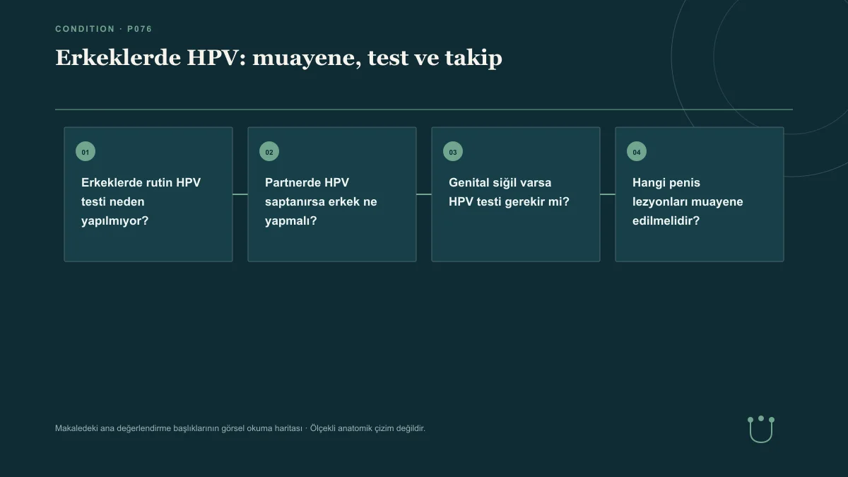 Erkeklerde HPV: muayene, test ve takip için makalenin ana değerlendirme başlıklarını gösteren görsel okuma haritası.