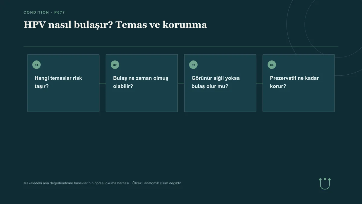 HPV nasıl bulaşır? Temas ve korunma için makalenin ana değerlendirme başlıklarını gösteren görsel okuma haritası.