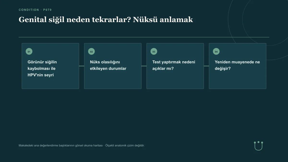 Genital siğil neden tekrarlar? Nüksü anlamak için makalenin ana değerlendirme başlıklarını gösteren görsel okuma haritası.