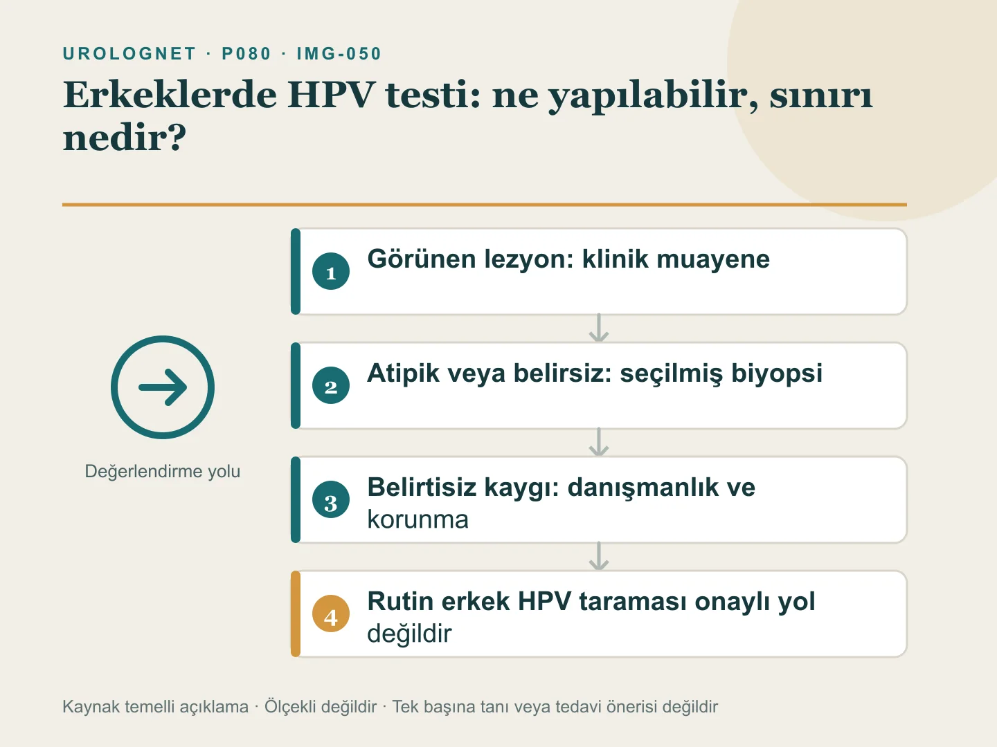 Erkeklerde HPV kaygısında görünen lezyon, partner sonucu ve belirtilere göre muayene, gerektiğinde biyopsi veya danışmanlık yolunu ayıran akış şeması.