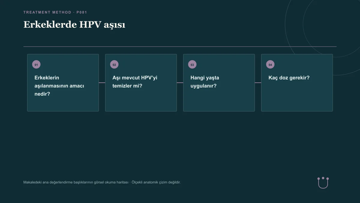 Erkeklerde HPV aşısı için makalenin ana değerlendirme başlıklarını gösteren görsel okuma haritası.