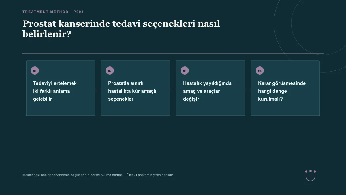 Prostat kanserinde tedavi seçenekleri nasıl belirlenir? için makalenin ana değerlendirme başlıklarını gösteren görsel okuma haritası.