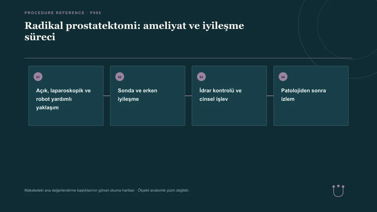 Radikal prostatektomi: ameliyat ve iyileşme süreci için makalenin ana değerlendirme başlıklarını gösteren görsel okuma haritası.