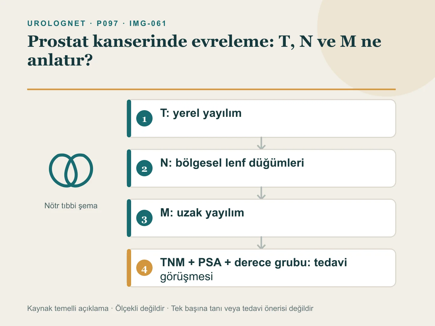 Prostat kanserinde T, N ve M evreleme sorularını muayene, MR, BT, kemik sintigrafisi ve PSMA PET/BT ile ilişkilendiren akış şeması.