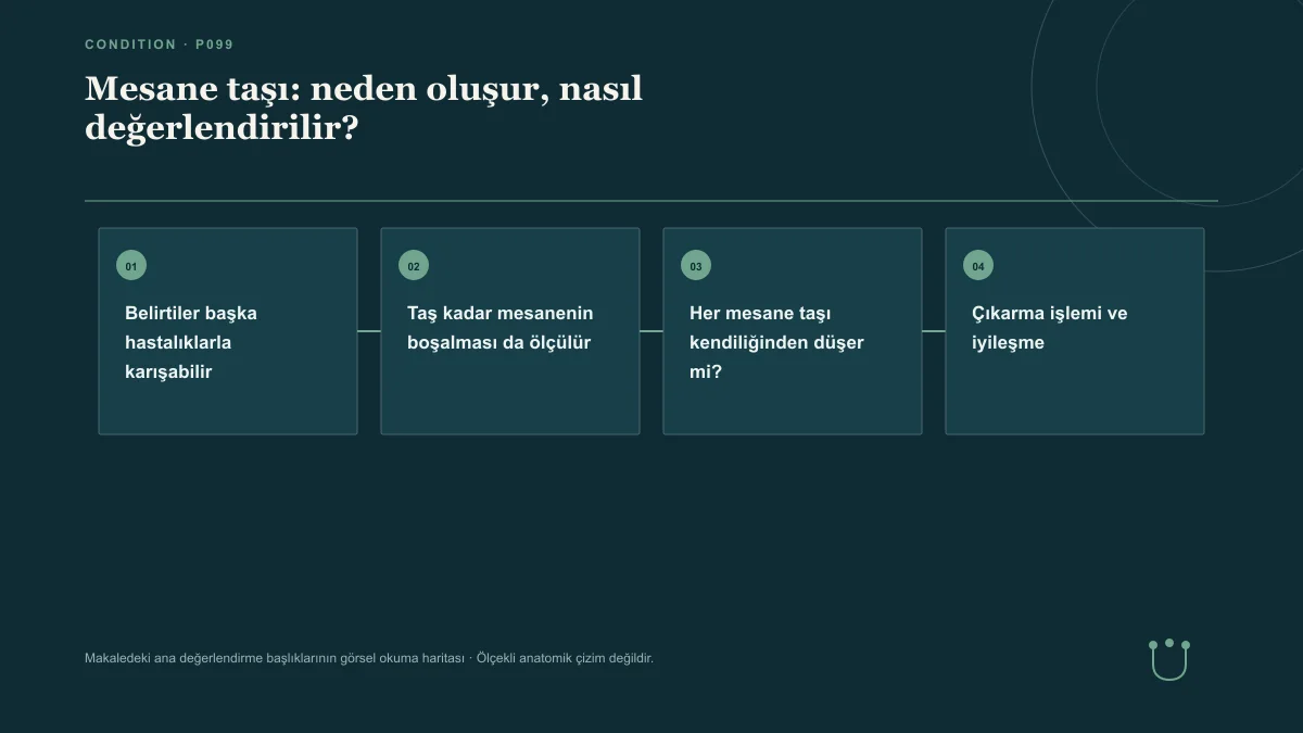 Mesane taşı: neden oluşur, nasıl değerlendirilir? için makalenin ana değerlendirme başlıklarını gösteren görsel okuma haritası.