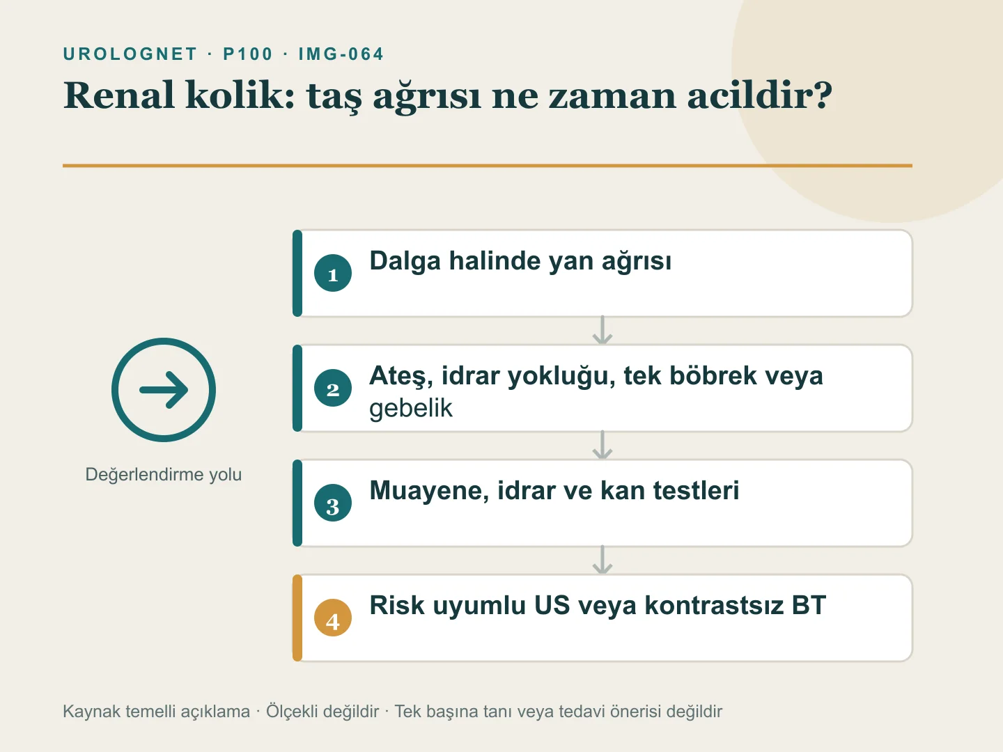 Dalga halinde yan ağrısı, eşlik eden renal kolik belirtileri ve ateş, idrar çıkmaması, tek böbrek, gebelik ile kontrol edilemeyen ağrı için acil değerlendirme yolunu gösteren şema.