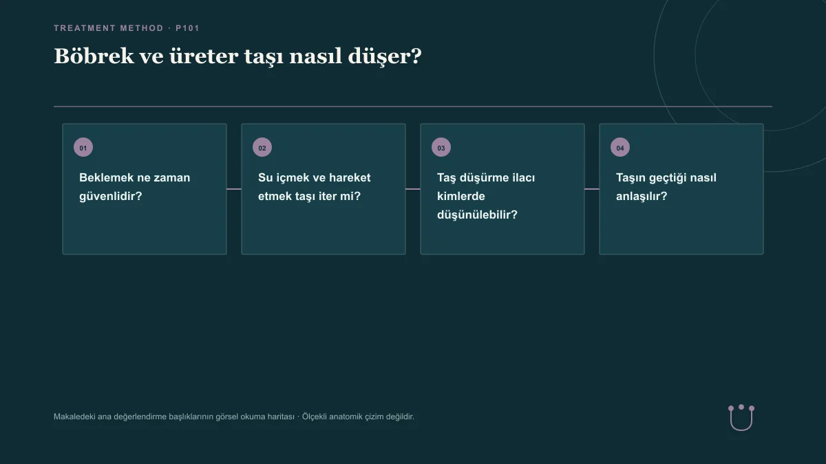 Böbrek ve üreter taşı nasıl düşer? için makalenin ana değerlendirme başlıklarını gösteren görsel okuma haritası.