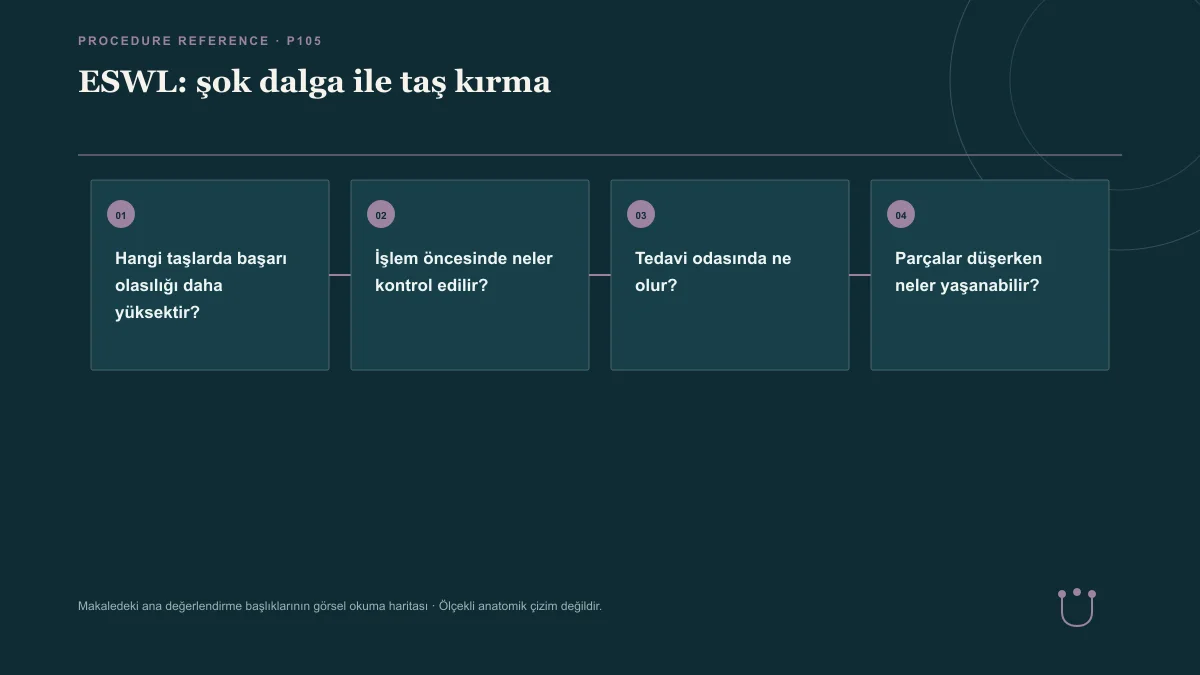ESWL: şok dalga ile taş kırma için makalenin ana değerlendirme başlıklarını gösteren görsel okuma haritası.