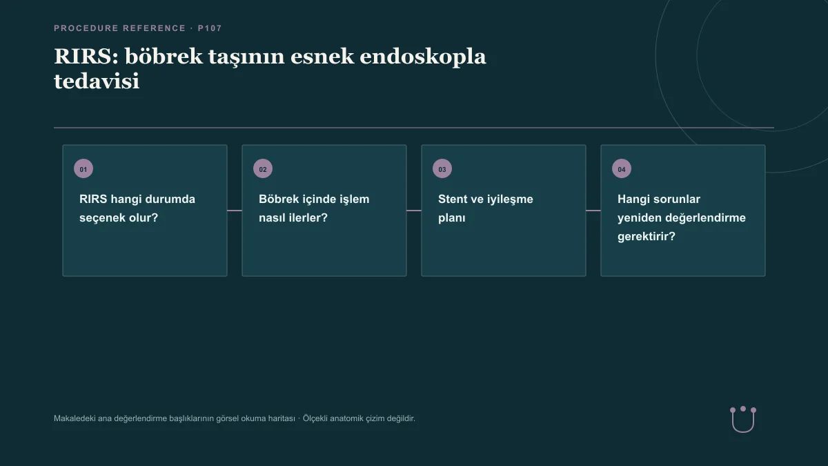RIRS: böbrek taşının esnek endoskopla tedavisi için makalenin ana değerlendirme başlıklarını gösteren görsel okuma haritası.