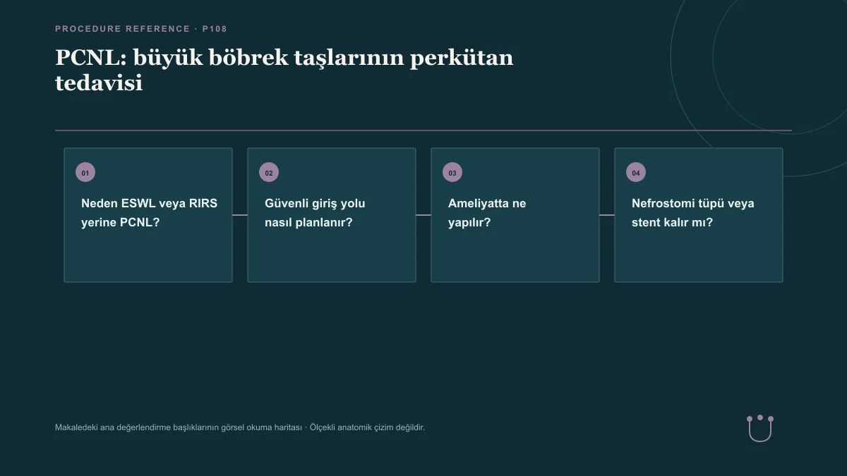 PCNL: büyük böbrek taşlarının perkütan tedavisi için makalenin ana değerlendirme başlıklarını gösteren görsel okuma haritası.