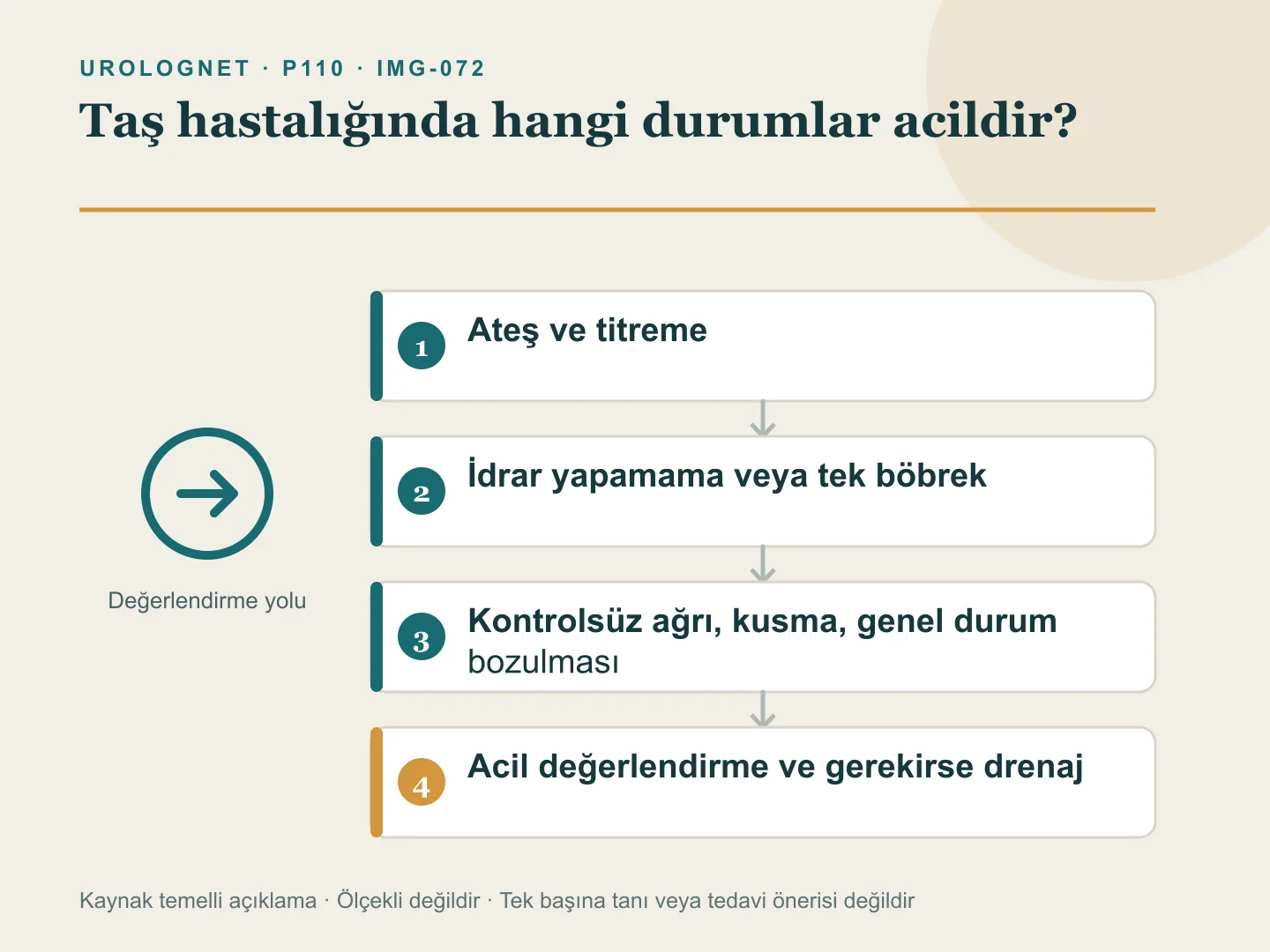 Taş şüphesinde ateş ve titreme, idrar yapamama, tek böbrek, kontrolsüz ağrı-kusma ve genel durum bozulmasını acil değerlendirmeye yönlendiren belirti haritası.