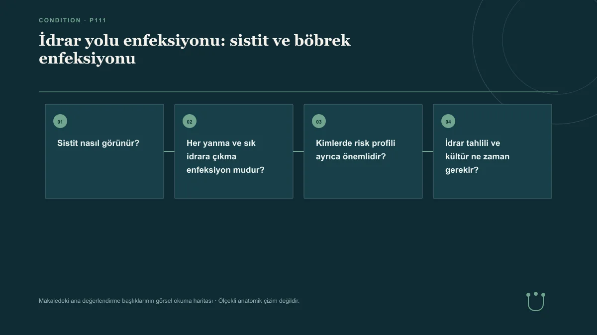 İdrar yolu enfeksiyonu: sistit ve böbrek enfeksiyonu için makalenin ana değerlendirme başlıklarını gösteren görsel okuma haritası.