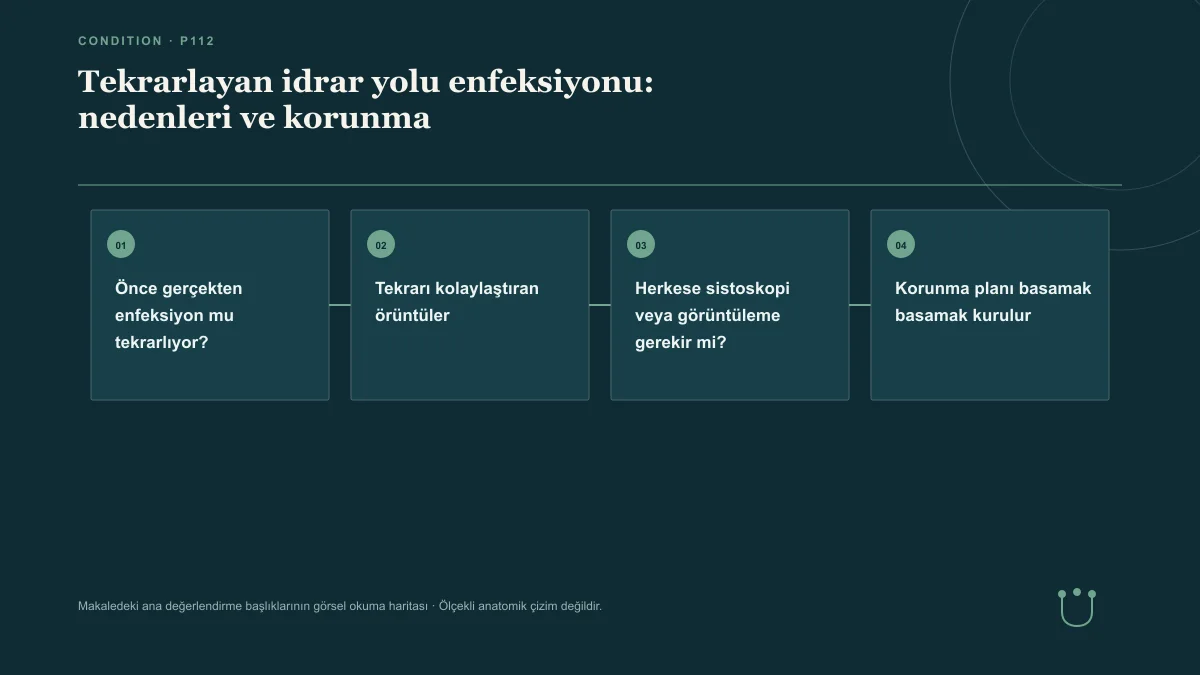 Tekrarlayan idrar yolu enfeksiyonu: nedenleri ve korunma için makalenin ana değerlendirme başlıklarını gösteren görsel okuma haritası.