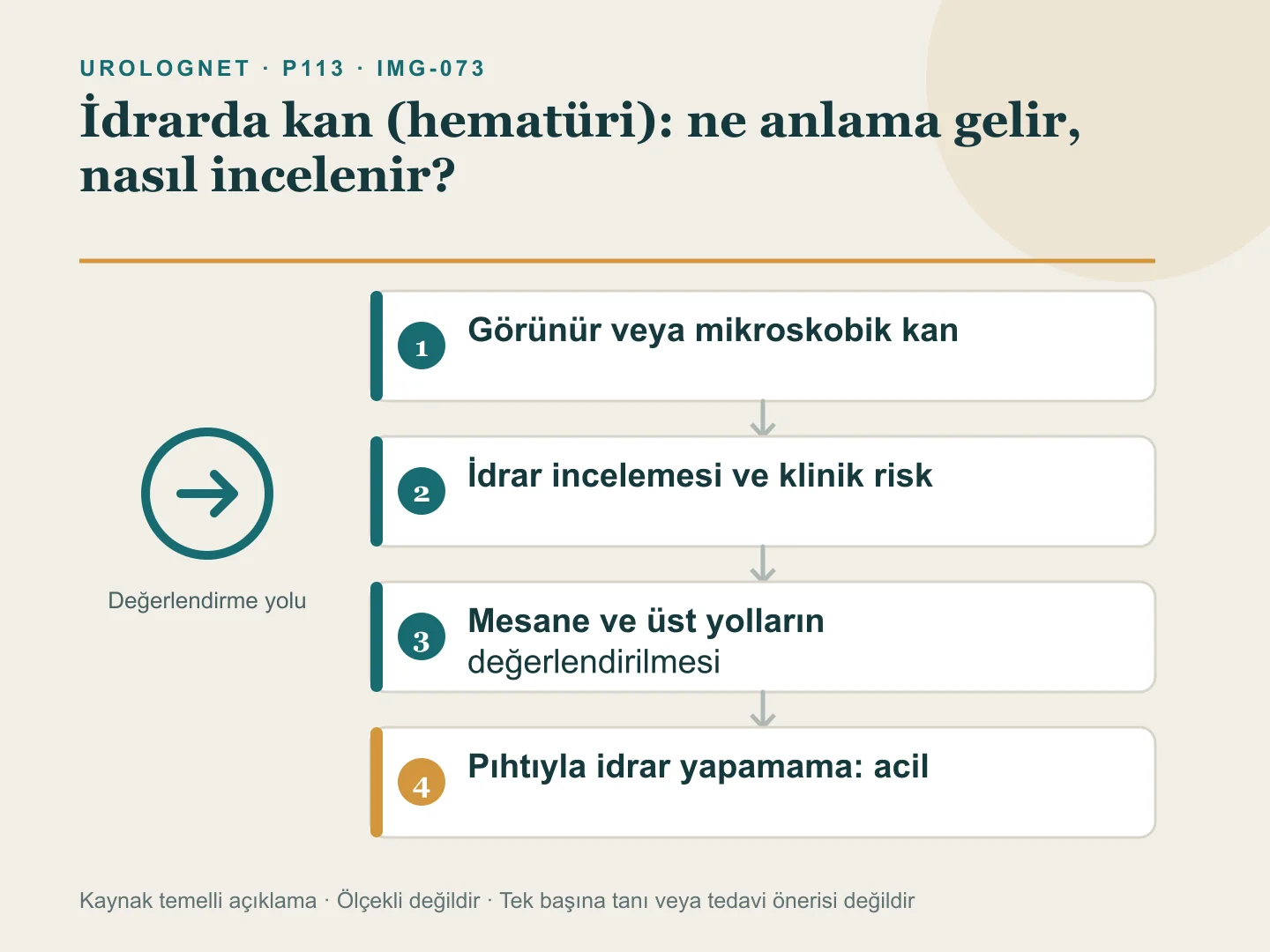 Görünür ve mikroskobik hematüride enfeksiyon, taş, tıkanıklık, böbrek bulguları ve risk etmenlerine göre değerlendirme yolunu; pıhtıyla idrar yapamamayı acil durum olarak gösteren harita.
