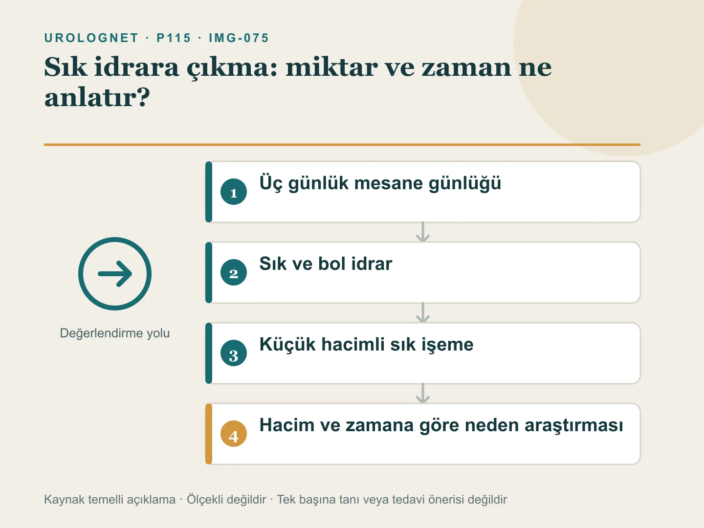 Üç günlük mesane günlüğüyle sık ve bol idrarı, küçük hacimli sık işemeden ayırıp enfeksiyon, sıkışma, boşaltım ve sistemik nedenlere yönlendiren harita.