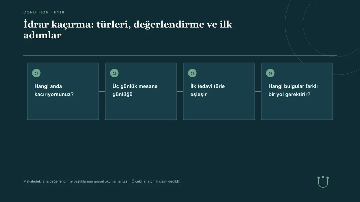 İdrar kaçırma: türleri, değerlendirme ve ilk adımlar için makalenin ana değerlendirme başlıklarını gösteren görsel okuma haritası.