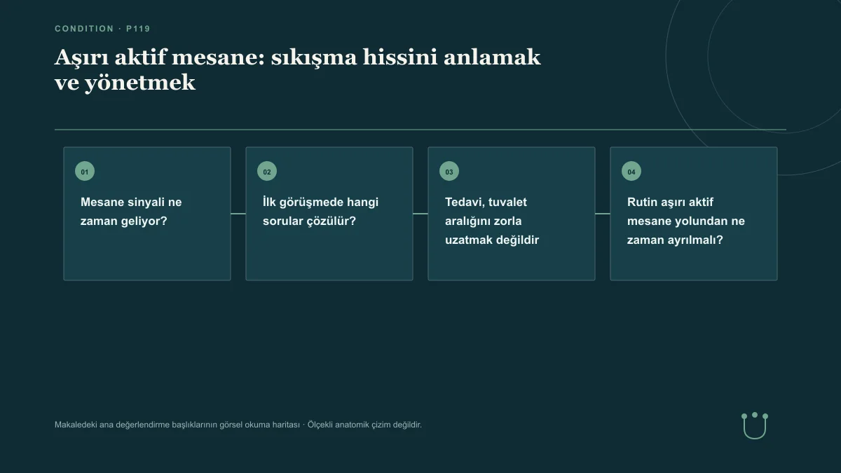 Aşırı aktif mesane: sıkışma hissini anlamak ve yönetmek için makalenin ana değerlendirme başlıklarını gösteren görsel okuma haritası.