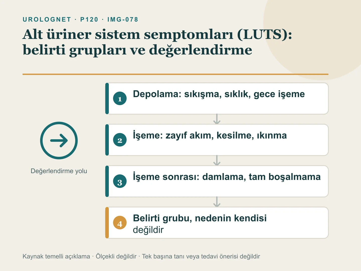 Alt üriner sistem belirtilerini depolama, işeme ve işeme sonrası evrelere ayıran karar şeması.