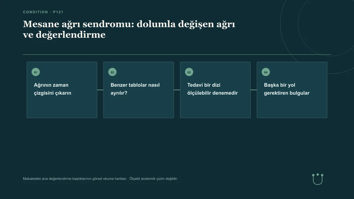 Mesane ağrı sendromu: dolumla değişen ağrı ve değerlendirme için makalenin ana değerlendirme başlıklarını gösteren görsel okuma haritası.