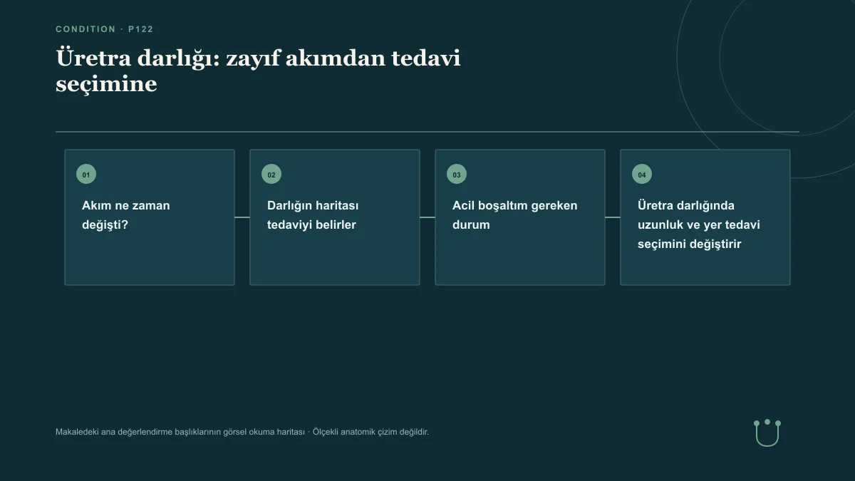 Üretra darlığı: zayıf akımdan tedavi seçimine için makalenin ana değerlendirme başlıklarını gösteren görsel okuma haritası.