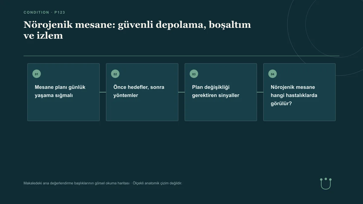 Nörojenik mesane: güvenli depolama, boşaltım ve izlem için makalenin ana değerlendirme başlıklarını gösteren görsel okuma haritası.