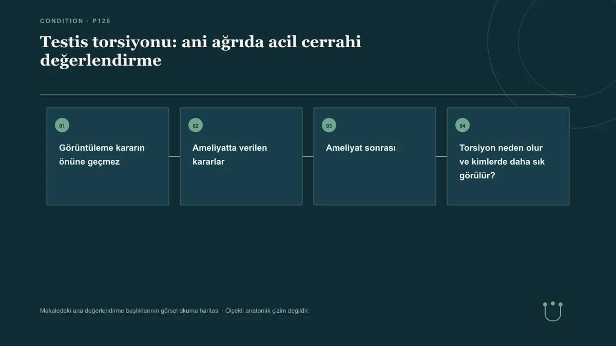 Testis torsiyonu: ani ağrıda acil cerrahi değerlendirme için makalenin ana değerlendirme başlıklarını gösteren görsel okuma haritası.