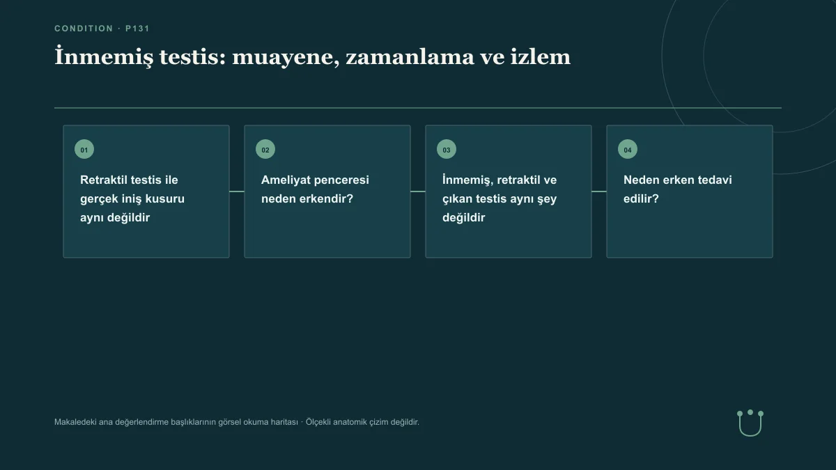 İnmemiş testis: muayene, zamanlama ve izlem için makalenin ana değerlendirme başlıklarını gösteren görsel okuma haritası.