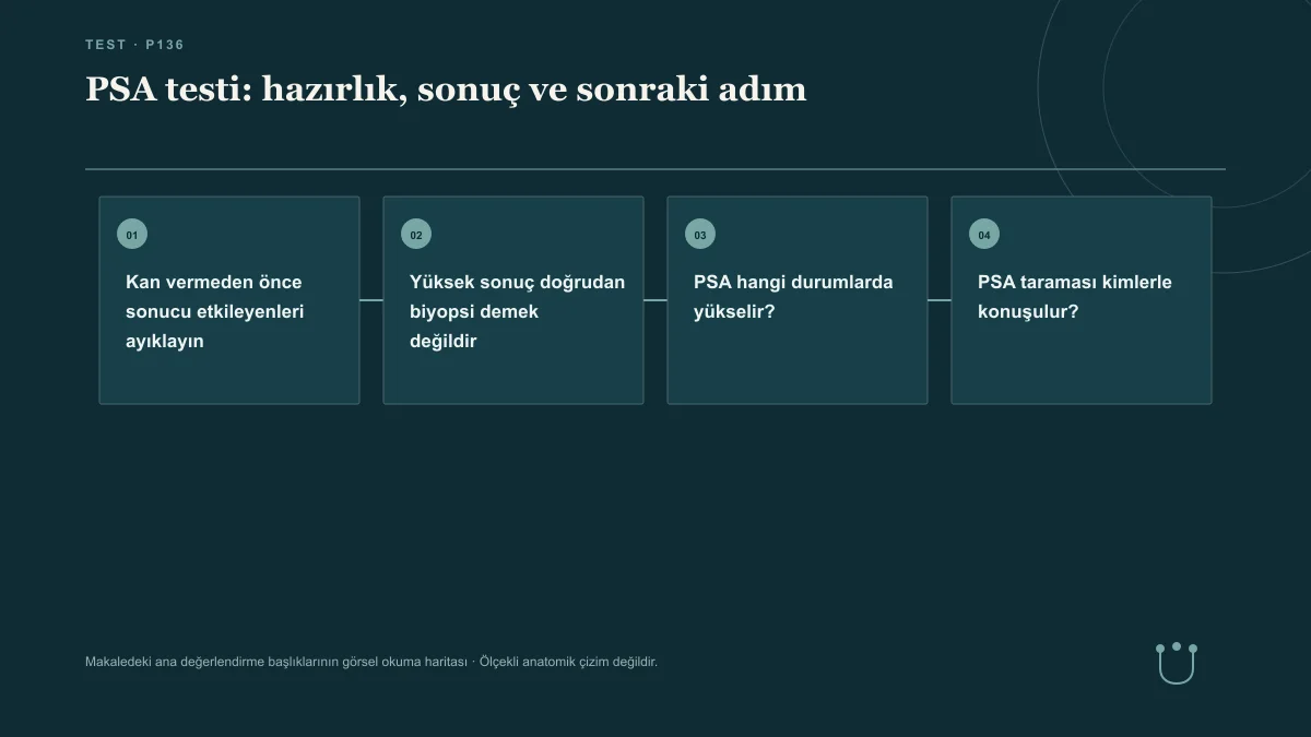 PSA testi: hazırlık, sonuç ve sonraki adım için makalenin ana değerlendirme başlıklarını gösteren görsel okuma haritası.