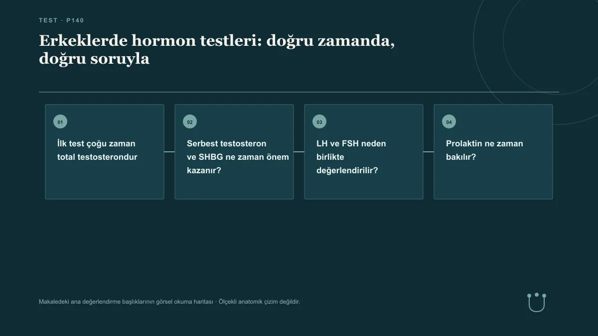 Erkeklerde hormon testleri: doğru zamanda, doğru soruyla için makalenin ana değerlendirme başlıklarını gösteren görsel okuma haritası.