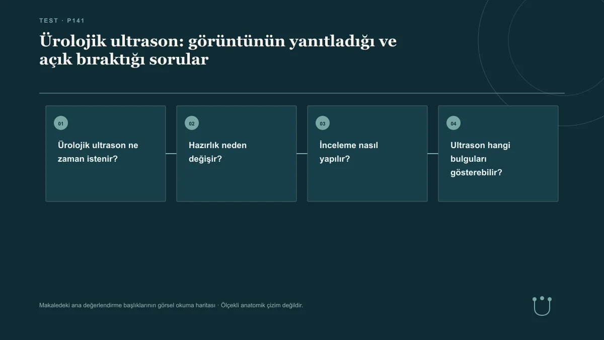 Ürolojik ultrason: görüntünün yanıtladığı ve açık bıraktığı sorular için makalenin ana değerlendirme başlıklarını gösteren görsel okuma haritası.