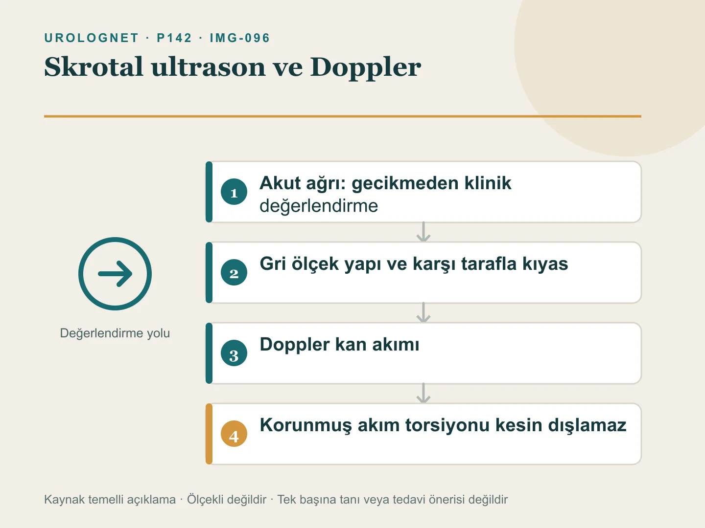 Skrotal ultrasonda testis yapısı ile Doppler kan akımının karşılaştırılmasını ve akut ağrıda acil değerlendirme yolunu gösteren akış.