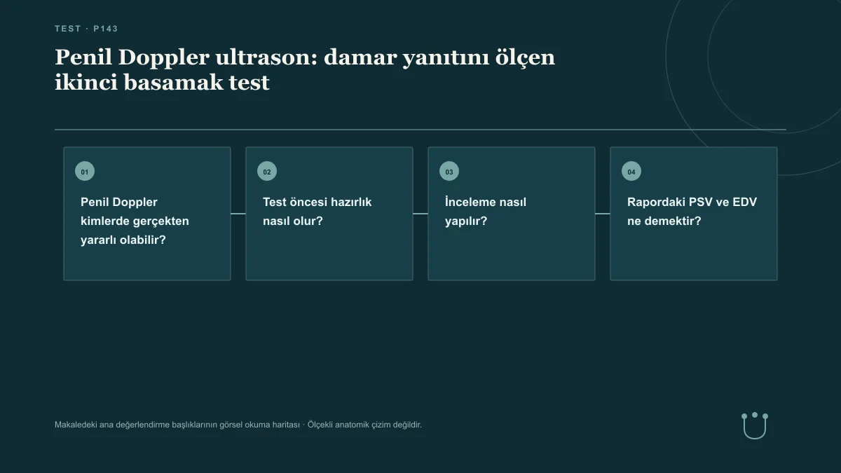 Penil Doppler ultrason: damar yanıtını ölçen ikinci basamak test için makalenin ana değerlendirme başlıklarını gösteren görsel okuma haritası.
