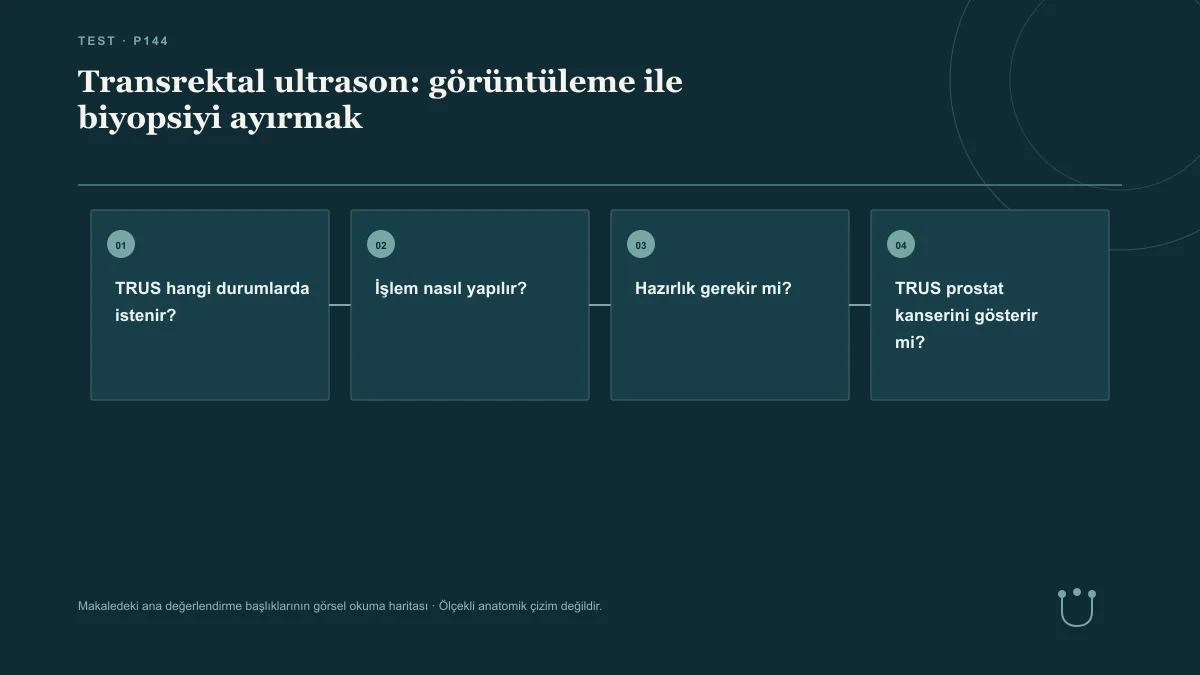 Transrektal ultrason: görüntüleme ile biyopsiyi ayırmak için makalenin ana değerlendirme başlıklarını gösteren görsel okuma haritası.