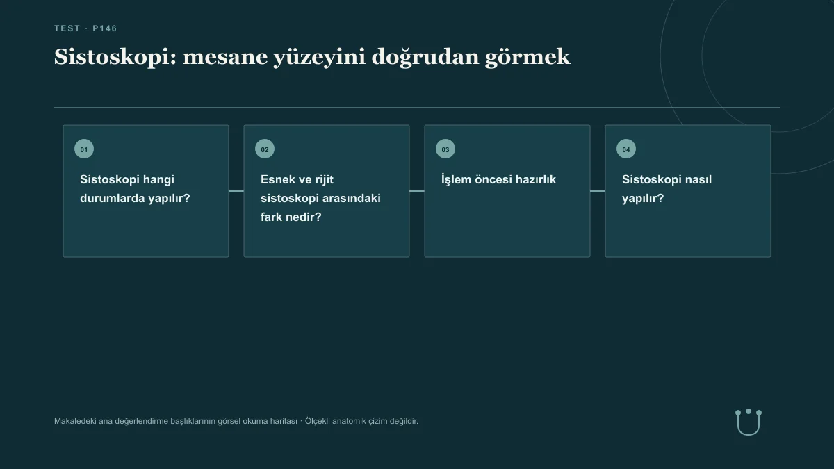 Sistoskopi: mesane yüzeyini doğrudan görmek için makalenin ana değerlendirme başlıklarını gösteren görsel okuma haritası.